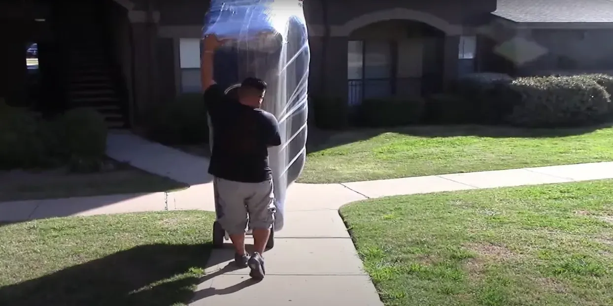 Professional movers carrying boxes